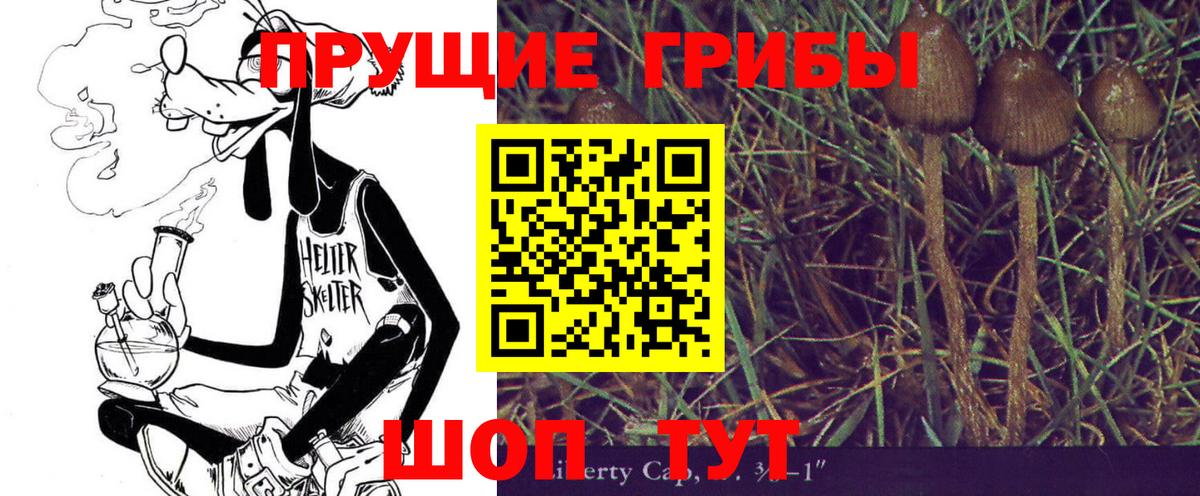 Галлюциногенные грибы Psilocybine cubensis Холмск