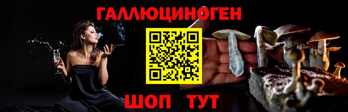 наркошоп  Вход с VPN  Холмск  Галлюциногенные грибы Psilocybine cubensis 